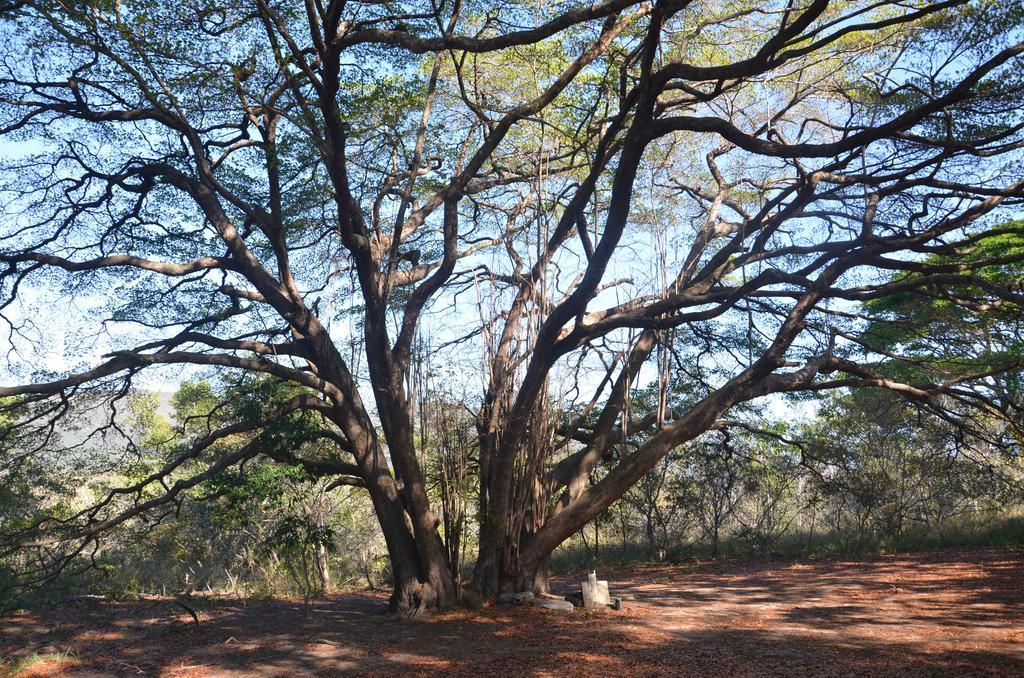 Pousada Terras Do Poente Vale do Capao Εξωτερικό φωτογραφία